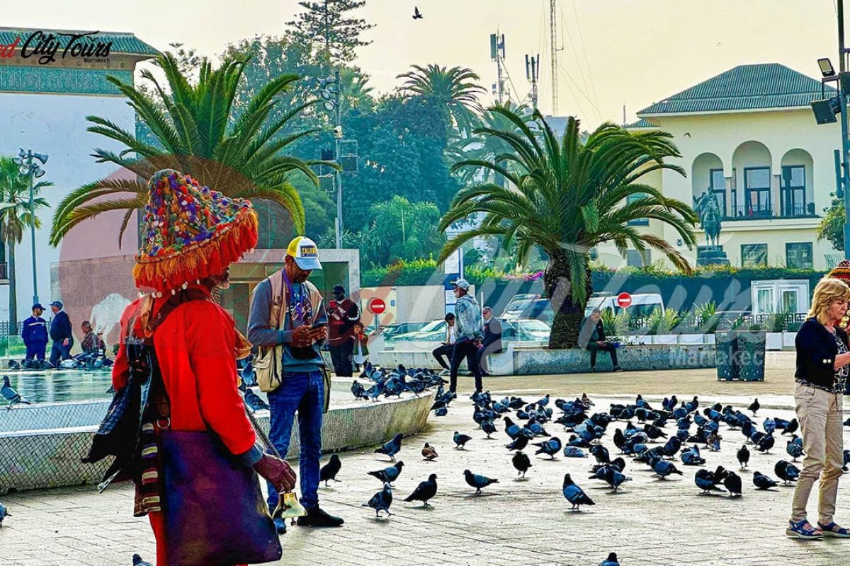 Guided tours Casablanca