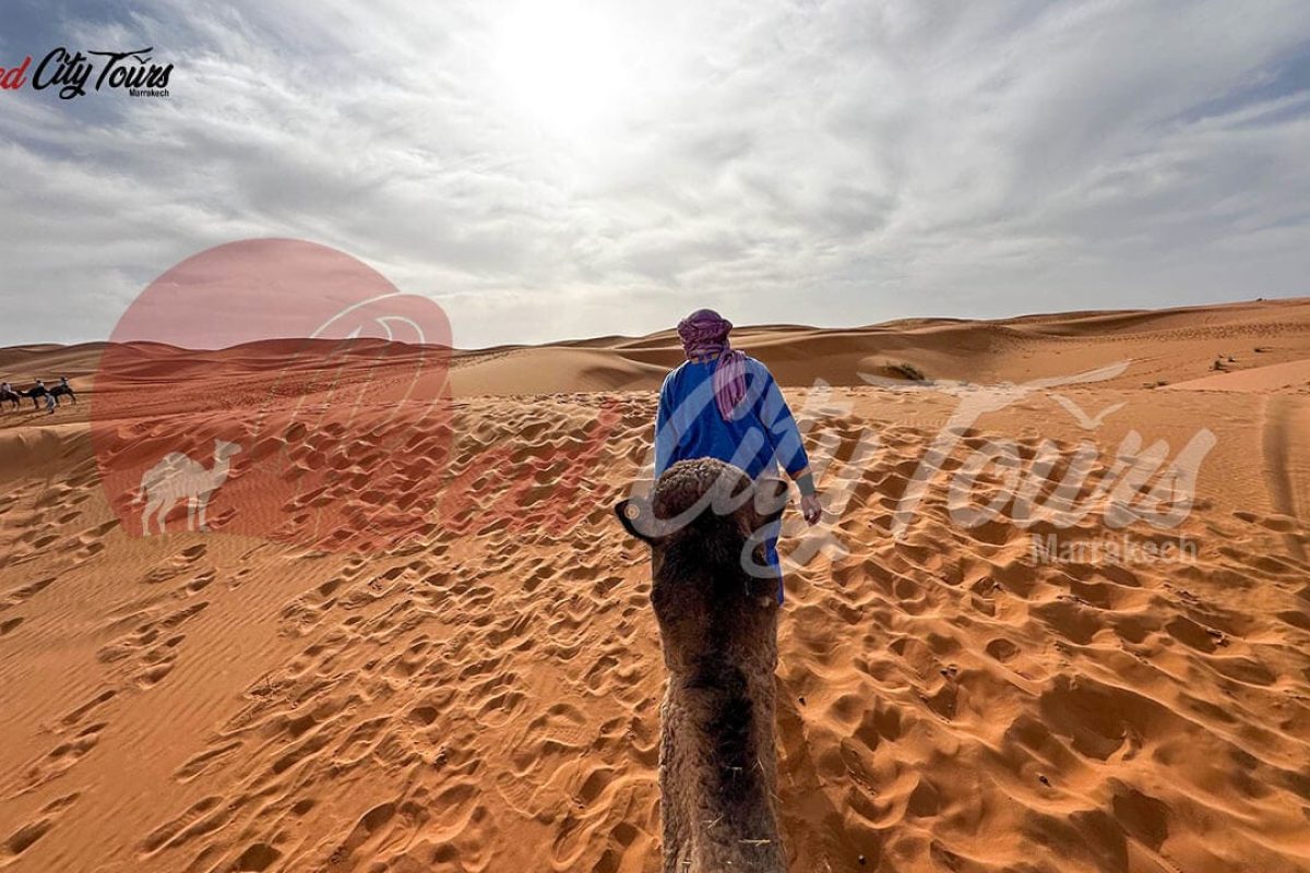 Best 3 days trip to Merzouga desert