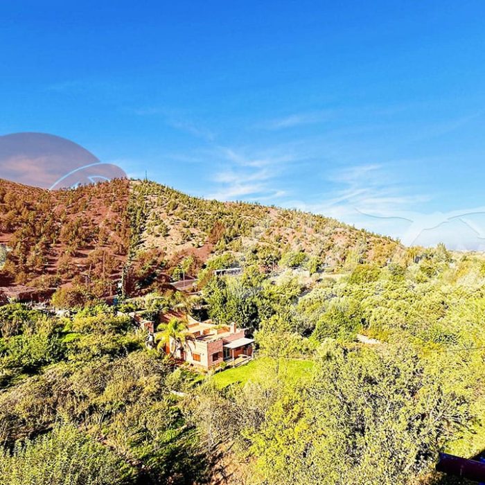 Explore the Atlas Mountains and Ourika Valley