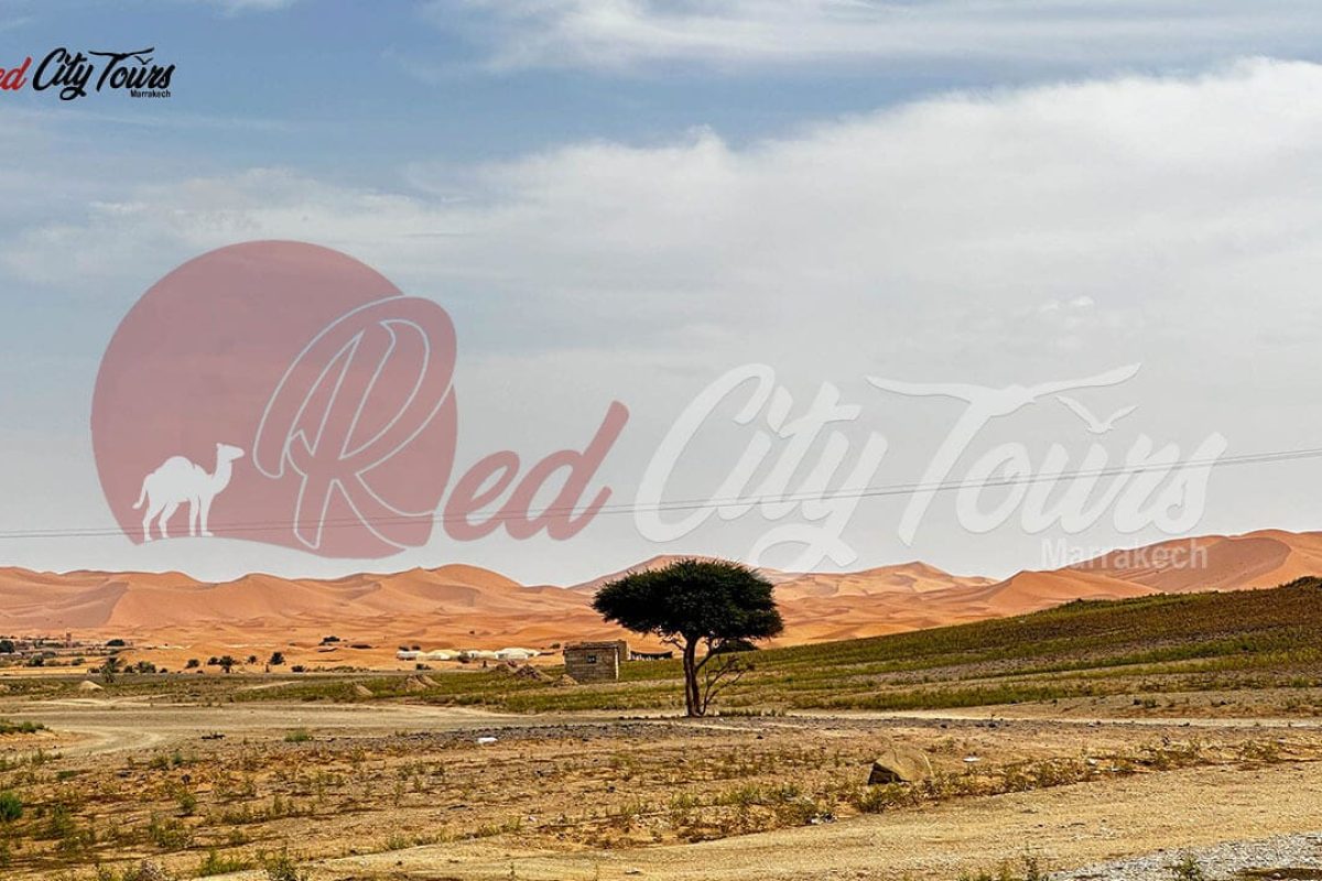 Morocco desert tour itinerary 3 days