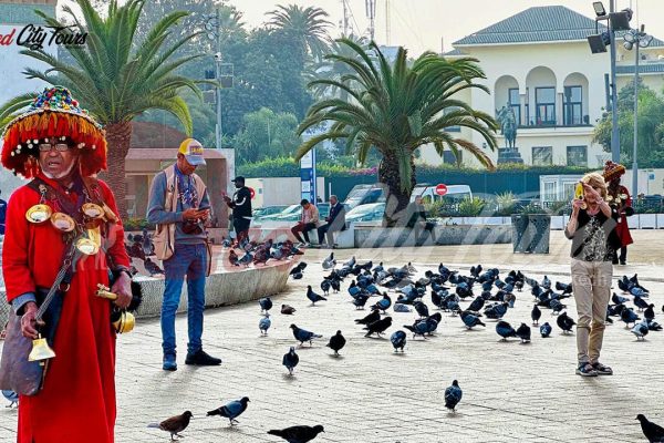 Casablanca excursions