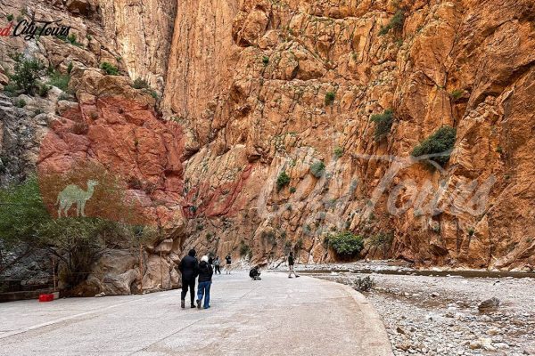 Merzouga Sahara camping trip