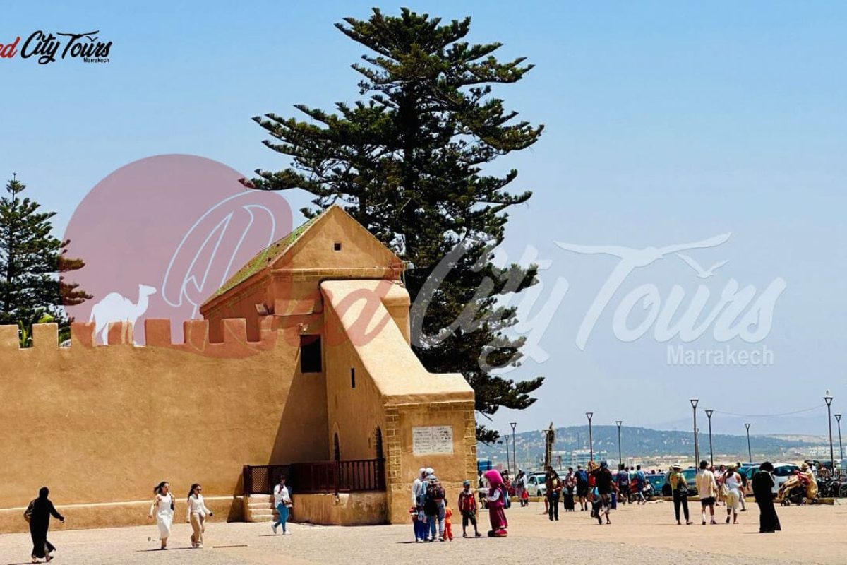 Day trip to Essaouira