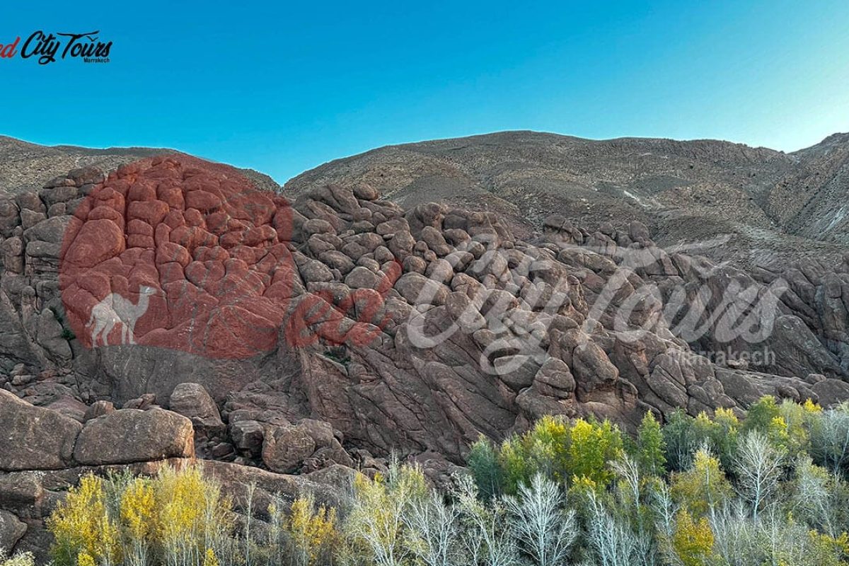Sahara tour Merzouga from Marrakech
