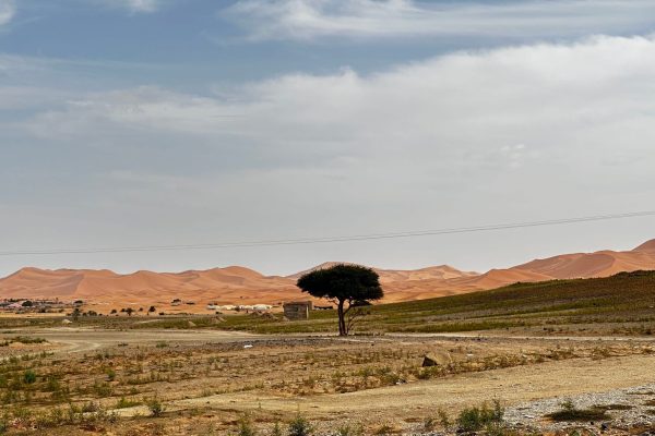 2024_12_01_15_09_IMG_7519