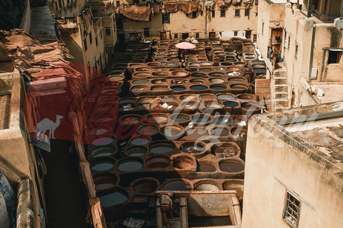 Desert Tour Fez Marrakech