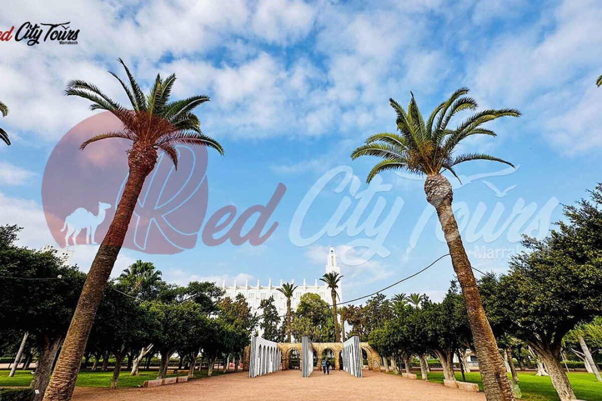 Guided tours Casablanca