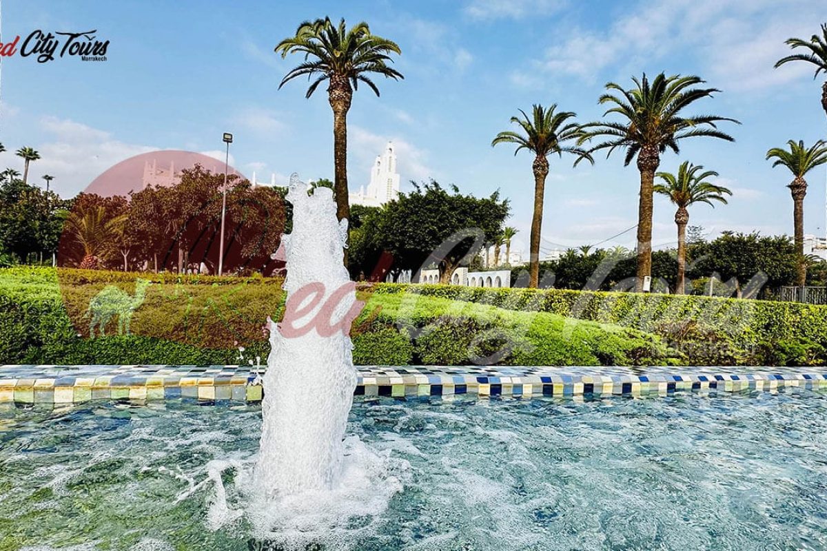 Best excursions in Casablanca