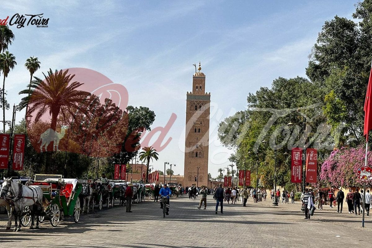 Day trips from Marrakech