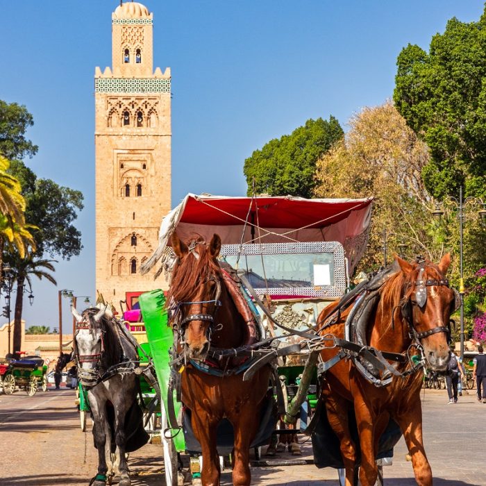 Horse-drawn,Carriages,Waiting,For,Tourists,At,The,Djemaa-el-fna,Square,Near