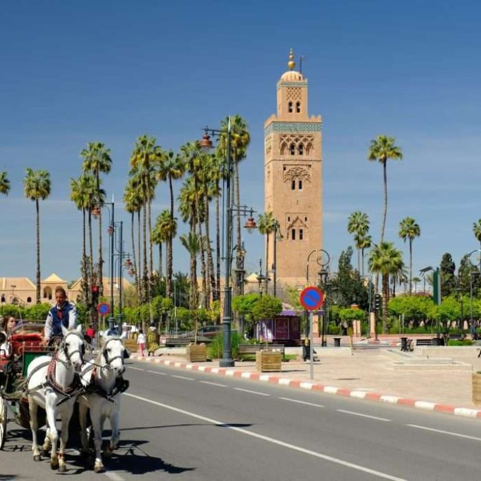 Horse-drawn-carriage-koutoubia-Marrakech