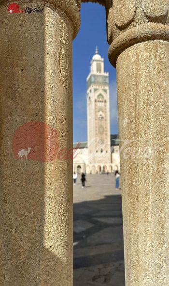 Guided tours Casablanca