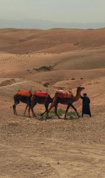 zagora from marrakech