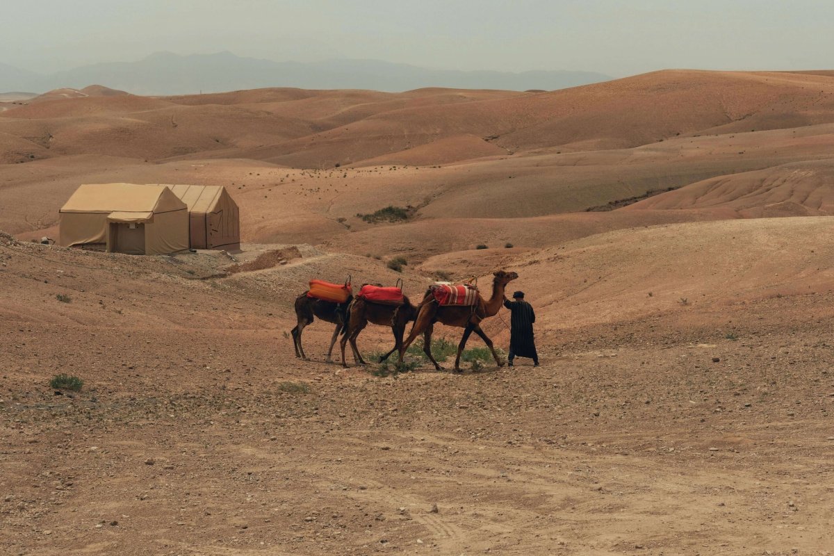 zagora from marrakech