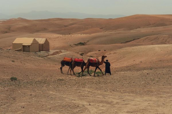 Desert Tour from Marrakech/Ouarzazate with Camel & 4×4